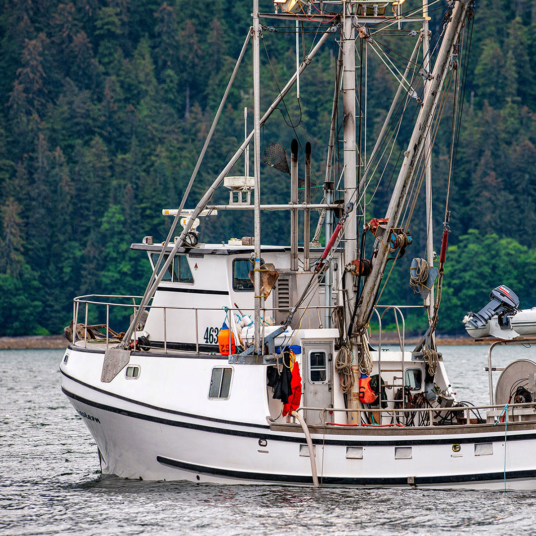 Alaska Boat Gallery. TAZ Whale Watching Tours, Gustavus, Alaska. Call ...