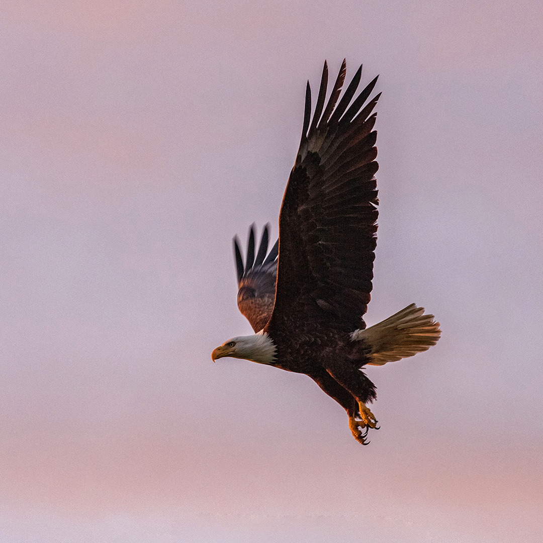 John Schnell Photography